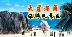 免费韩国美女搞基视频网站海南三亚-天崖海角旅游风景区